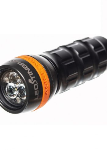 Ammonite LED Stingray torch