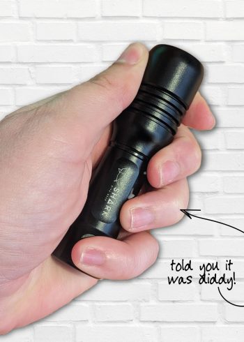 Shark Polaris back up torch