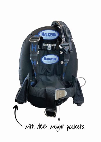 Halcyon Eclipse Wing with ACB weight pockets from the front