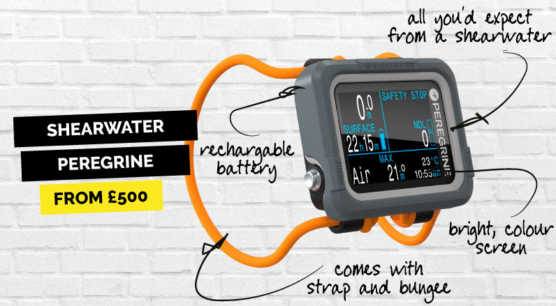 One of the best dive computers for beginners - the Shearwater Peregrine