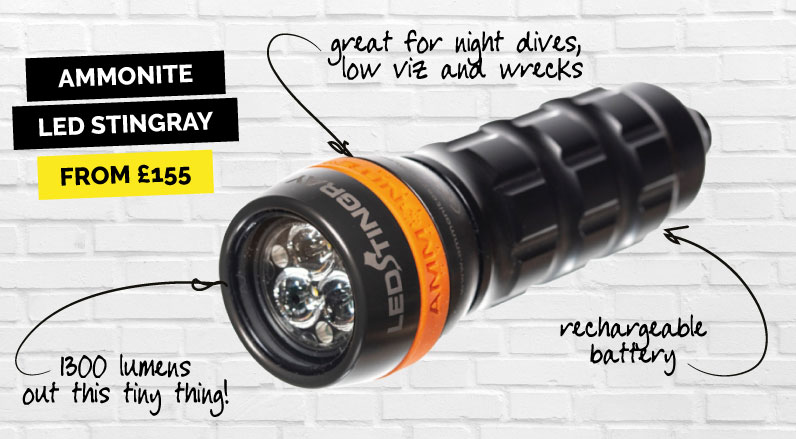 Recommendation for a main diving torch - the Ammonite LED Stingray