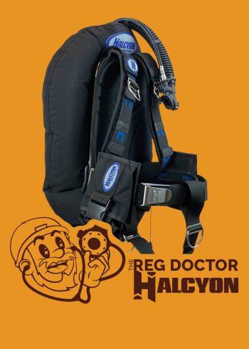 Halcyon Wing servicing