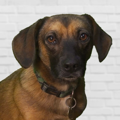 Buoy at The Honest Diver